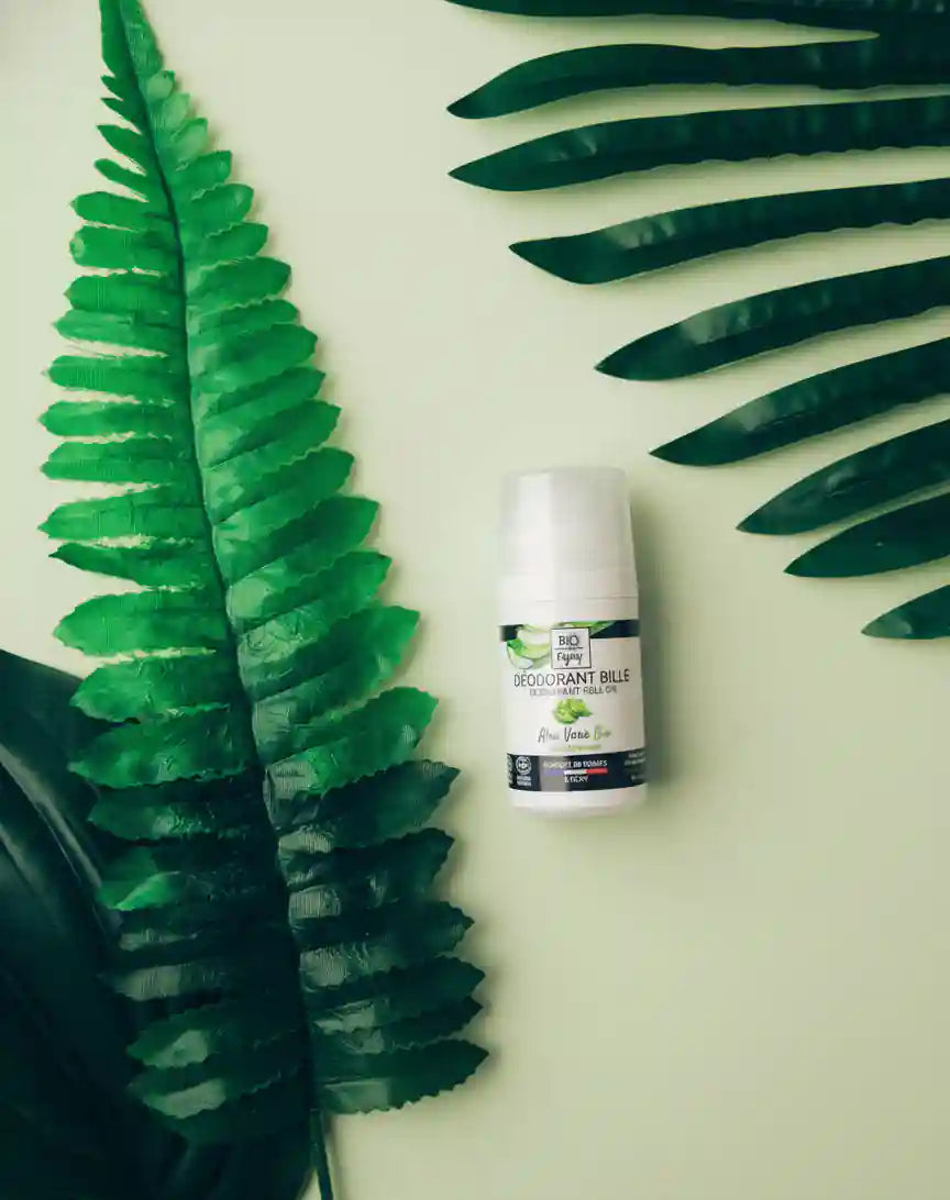 Déodorant bille Aloe vera BIO 50mL Bio Enjoy